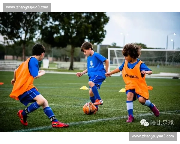 足球数据分析中的常见误区及其对战术决策的影响与误解解析 足球数据分析中的常见误区及其对战术决策的影响与误解解析